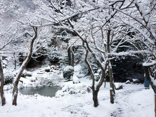 大雪